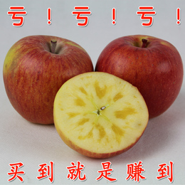 新疆阿克苏冰糖心苹果 新鲜水果含箱10.5斤 脆甜江浙沪皖包邮