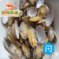 北京海鲜总部 野生新鲜海鲜鲜活黄蛤大花蛤蜊贝类 花甲6元/500g