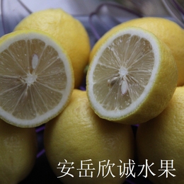 安岳新鲜优质黄柠檬特产有机柠檬好果现摘现卖皮薄多汁5斤包邮