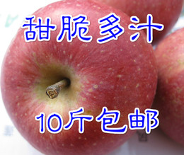 2015新鲜水果 秀水苹果 甜苹果 山东烟台苹果多汁包邮10斤 非国光