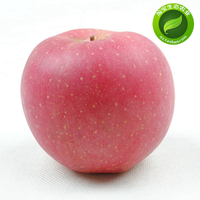 山东烟台特产 栖霞红富士苹果80#10斤 新鲜水果 绿色有机包邮特甜