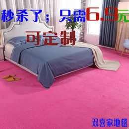 冬季家用丝毛小地毯卧室床边长方形沙发地垫可定制房间满铺大地毯