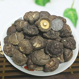 古田野生农家土特产 大小香菇干货 冬菇  金钱菇 食用菌500g包邮