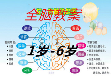 1-6岁全脑潜能开发 博文祥案-全脑教案 2015年全脑开发资料