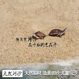 天然河沙鱼缸装饰底砂细沙水族箱乌龟冬眠沙仙人芦荟多肉植物专用