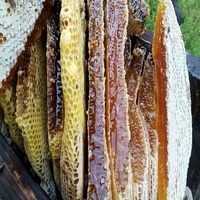 野生蜂巢蜜巢蜜纯天然木桶农家自产嚼着吃盒装土蜂蜜老蜂巢蜜包邮