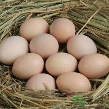 老杨农产品自家土鸡蛋，合作社成员家的土鸡蛋。
