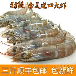 新鲜大虾 海鲜 南美大虾 白磷虾 海捕大虾 对虾 保证野生500g