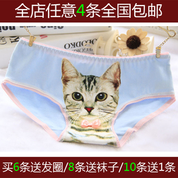 内裤女 包邮3D猫咪喵星人猫头图案大码中腰纯棉性感个性女士内裤