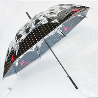 迪士尼透明儿童雨伞长柄防紫外线自动雨伞学生伞动漫伞公主伞包邮