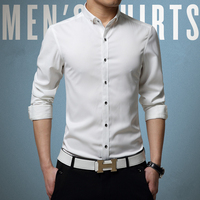 男士立领衬衫春秋新款桑蚕丝衬衣男长袖修身型商务寸衫小领纯白色