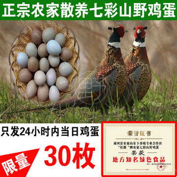 野鸡蛋30枚包邮七彩山鸡蛋杂粮散养野鸡蛋新鲜土鸡蛋农家草鸡