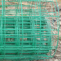 蓝孔雀棚专用网 包塑铁丝网 防护网 荷兰网 养殖 养鸡护栏网