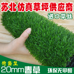 20mm仿真草坪塑料阳台假草皮幼儿园人造草坪草坪地毯 地毯