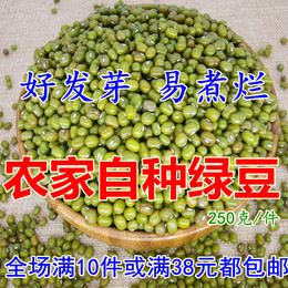 2016年新货沂蒙山农家自产笨绿豆明绿豆 熬粥毛绿豆250克满额包邮