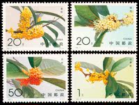 1995年1995-6T桂花 邮票 集邮 收藏
