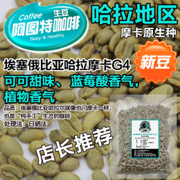 进口咖啡生豆 埃塞俄比亚哈拉摩卡G4商业精品豆 咖啡豆烘焙 500g