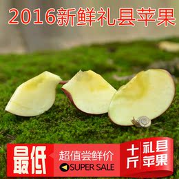 礼县苹果新鲜水果红苹果刮泥辅食胜天水花牛山东富士苹果10斤