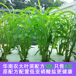 华南农大叶菜配方50L营养液阳台种菜水培肥料生菜白菜