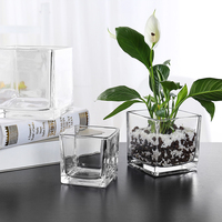 简约加厚正方形缸大号花瓶玻璃透明桌面摆件水培花器水养植物花盆