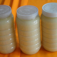 野生笨蜂蜜纯天然绿色荆条蜜无添加蜂蜜塑料瓶2斤芈月传蜂蜜产地