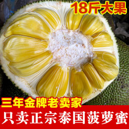 泰国菠萝蜜 新鲜 进口热带水果 干苞木菠萝 假榴莲 胜海南菠萝蜜