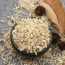 糙米胚芽米 发芽五谷 糙米杂粮农家糙米 优质粳米养生月子米250g