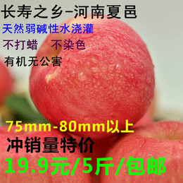 河南夏邑特产 红富士大号苹果有机绿色 水分足 不染色 不打蜡