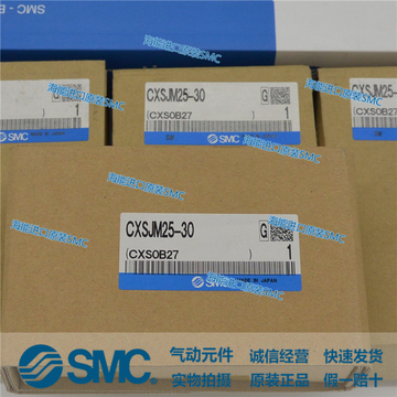 进口全新原装 SMC 汽缸 CXSJM25-30 原装正品