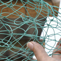 蓝孔雀专用网 鸡网 家禽网 养殖网 塑料网 爬藤网 防鸟网 渔网