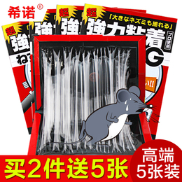 日本进口高端粘鼠板老鼠贴灭鼠器胶夹家用捕鼠器老鼠笼捉老鼠5片