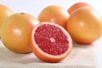 南非特大红心西柚葡萄柚子 新鲜进口水果约500g/个 仅发哈市同城