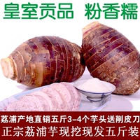 广西桂林土特产荔浦芋头农家有机新鲜蔬菜槟榔芋香芋毛芋五斤包邮