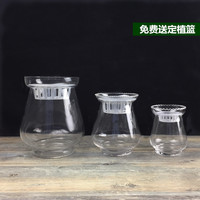 透明冬瓜玻璃花瓶圆球瓶送定植篮风信子绿萝水培养植物器皿花盆