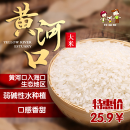 2016新米爆款包邮山东黄河口大米长粒香米粳米农家自产5斤